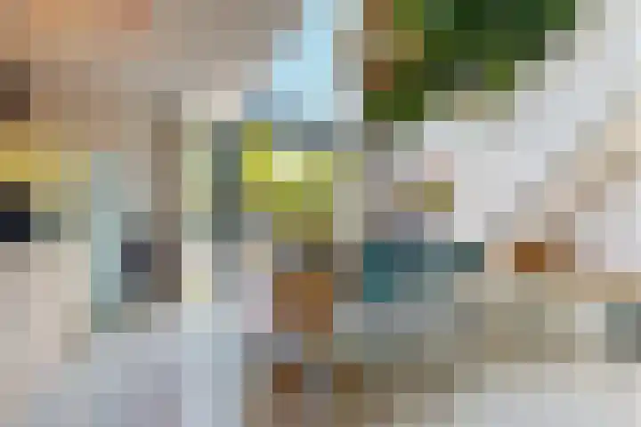 Weerschijnvlinder 75 Utrecht thumbnail 10