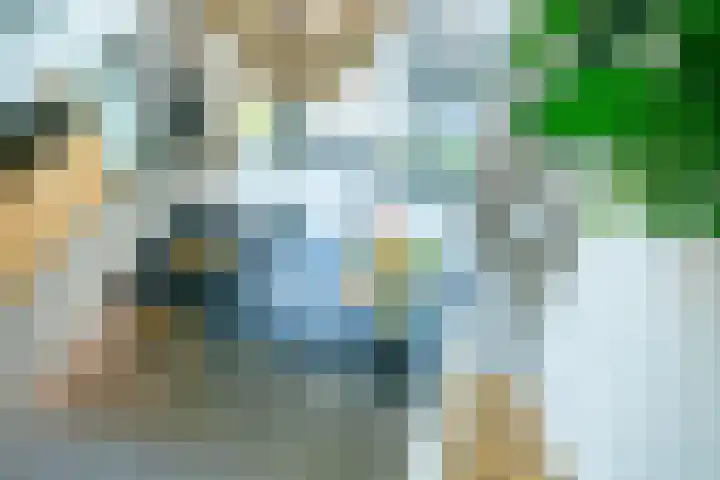 Weerschijnvlinder 75 Utrecht thumbnail 13