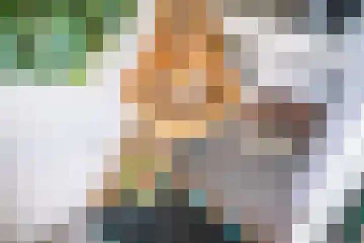 Weerschijnvlinder 75 Utrecht thumbnail 14