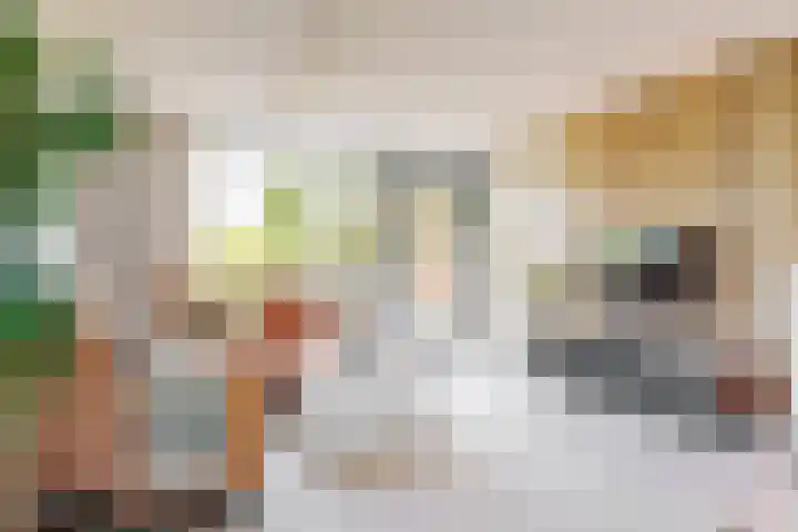 Weerschijnvlinder 75 Utrecht thumbnail 16