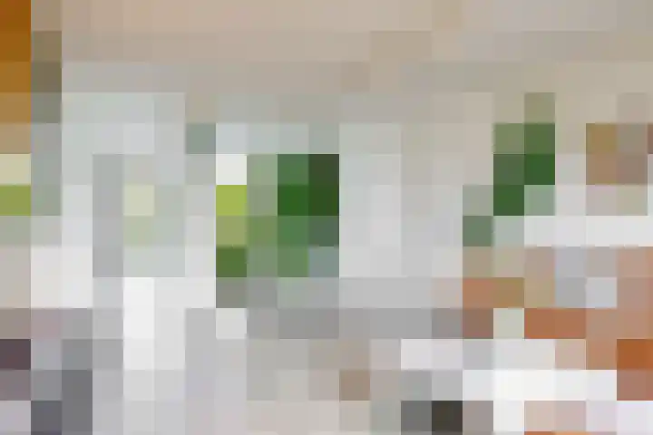 Weerschijnvlinder 75 Utrecht thumbnail 17