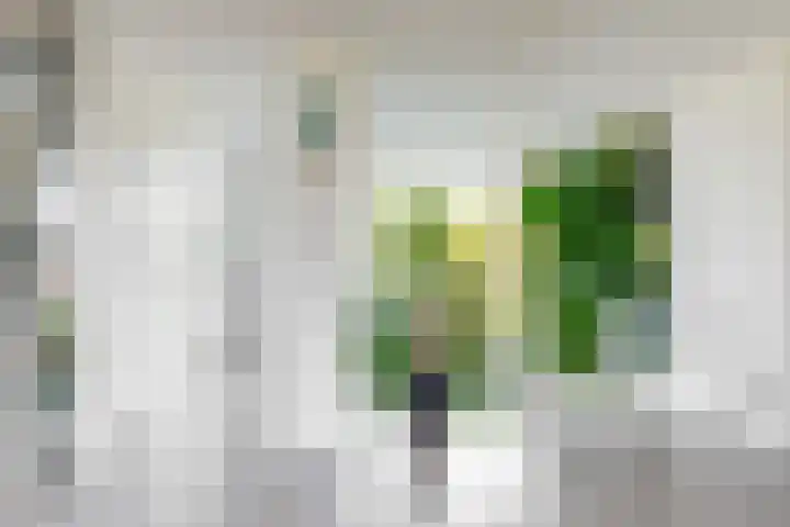 Weerschijnvlinder 75 Utrecht thumbnail 18