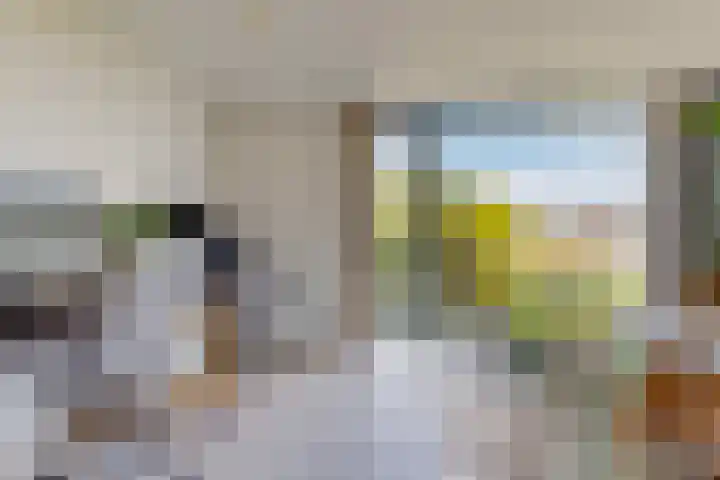 Weerschijnvlinder 75 Utrecht thumbnail 19