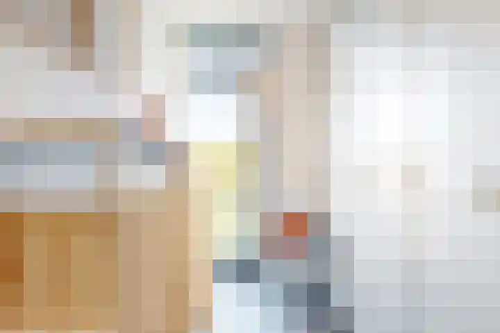 Weerschijnvlinder 75 Utrecht thumbnail 22
