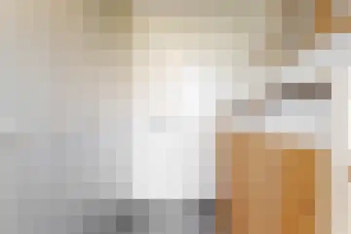 Weerschijnvlinder 75 Utrecht thumbnail 23