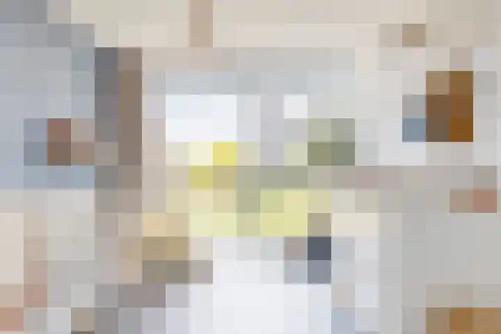 Weerschijnvlinder 75 Utrecht thumbnail 24