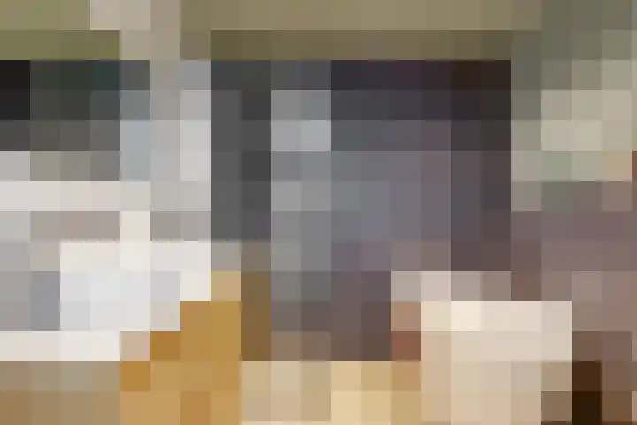 Weerschijnvlinder 75 Utrecht thumbnail 26