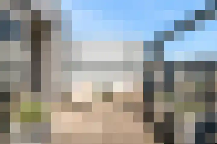 Weerschijnvlinder 75 Utrecht thumbnail 33