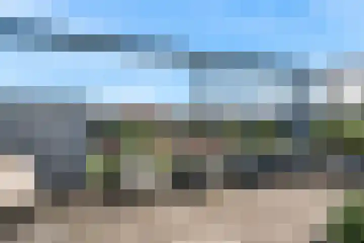 Weerschijnvlinder 75 Utrecht thumbnail 34