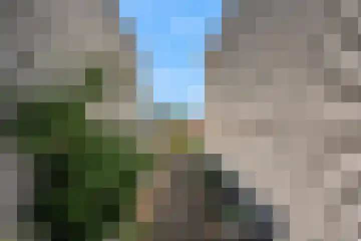 Weerschijnvlinder 75 Utrecht thumbnail 35
