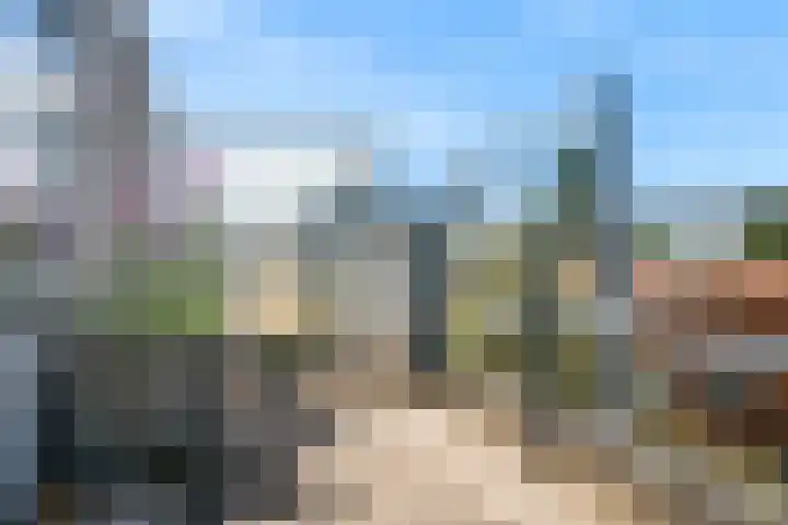 Weerschijnvlinder 75 Utrecht thumbnail 36