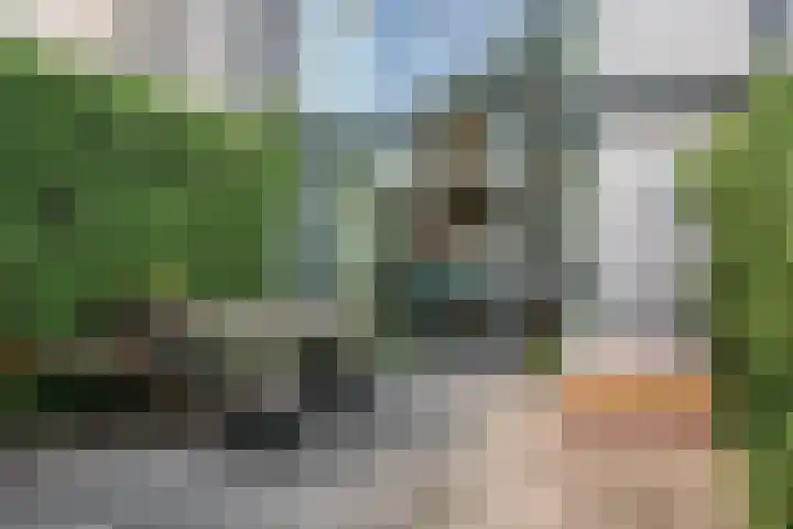 Weerschijnvlinder 75 Utrecht thumbnail 37