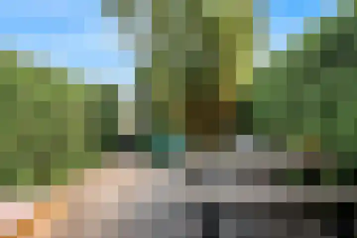 Weerschijnvlinder 75 Utrecht thumbnail 38