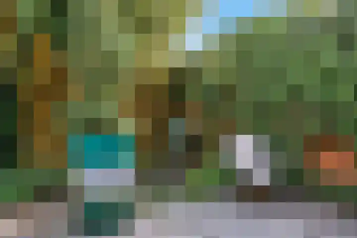 Weerschijnvlinder 75 Utrecht thumbnail 39