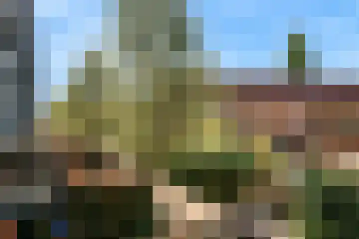 Weerschijnvlinder 75 Utrecht thumbnail 4
