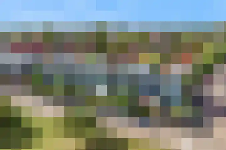 Weerschijnvlinder 75 Utrecht thumbnail 40