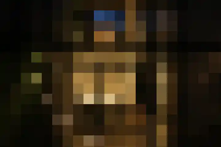 Weerschijnvlinder 75 Utrecht thumbnail 42