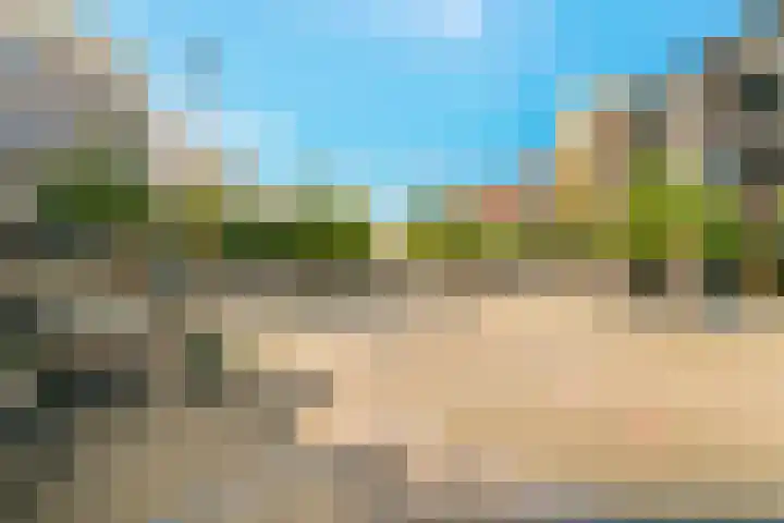 Weerschijnvlinder 75 Utrecht thumbnail 45