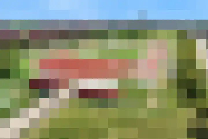 Weerschijnvlinder 75 Utrecht thumbnail 46