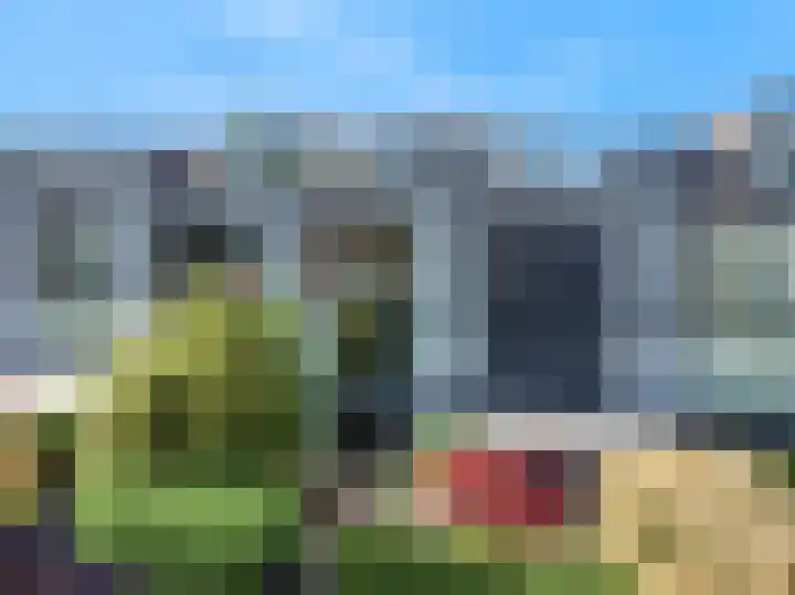 Weerschijnvlinder 75 Utrecht thumbnail 53