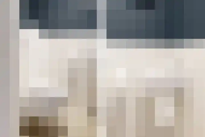 Weerschijnvlinder 75 Utrecht thumbnail 6