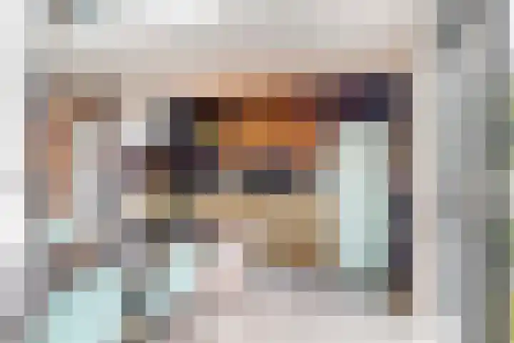 Weerschijnvlinder 75 Utrecht thumbnail 7
