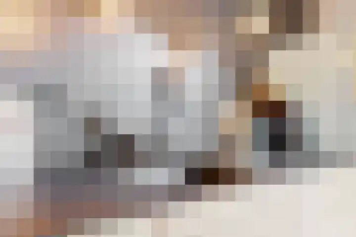 Weerschijnvlinder 75 Utrecht thumbnail 8