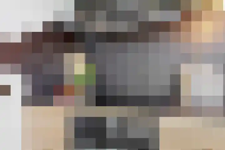 Weerschijnvlinder 75 Utrecht thumbnail 9