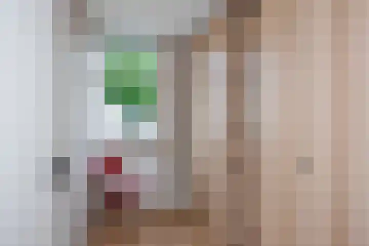 Weerselosestraat 106 Borne thumbnail 12