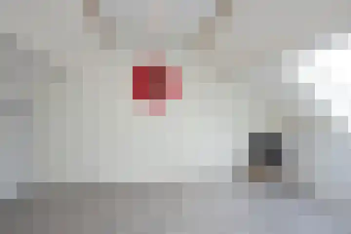 Weerselosestraat 106 Borne thumbnail 19