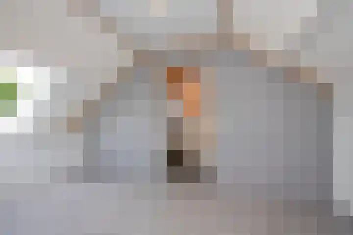 Weerselosestraat 106 Borne thumbnail 20