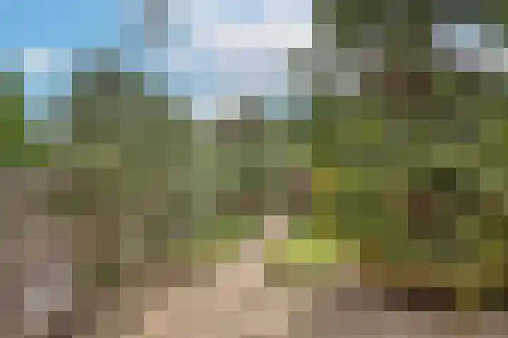 Weerselosestraat 106 Borne thumbnail 22
