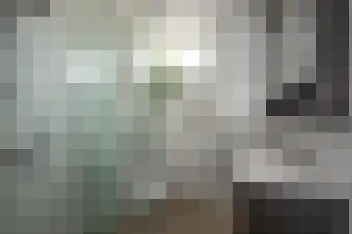 Weerselosestraat 106 Borne thumbnail 4