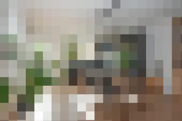 Weerselosestraat 106 Borne thumbnail 7