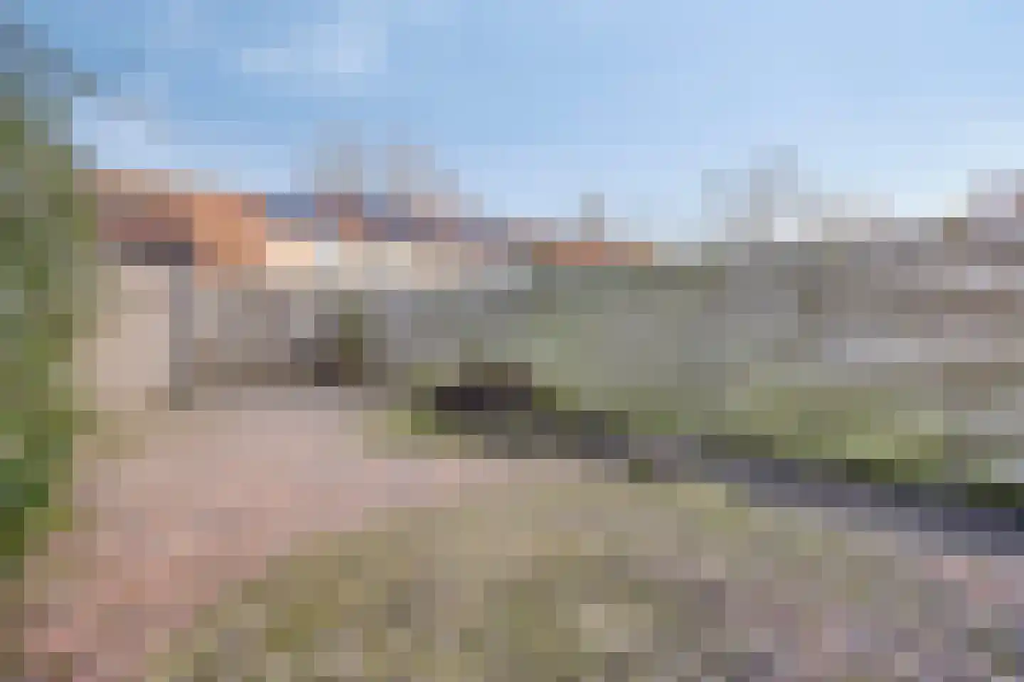 Weerselosestraat 108 Borne thumbnail 29