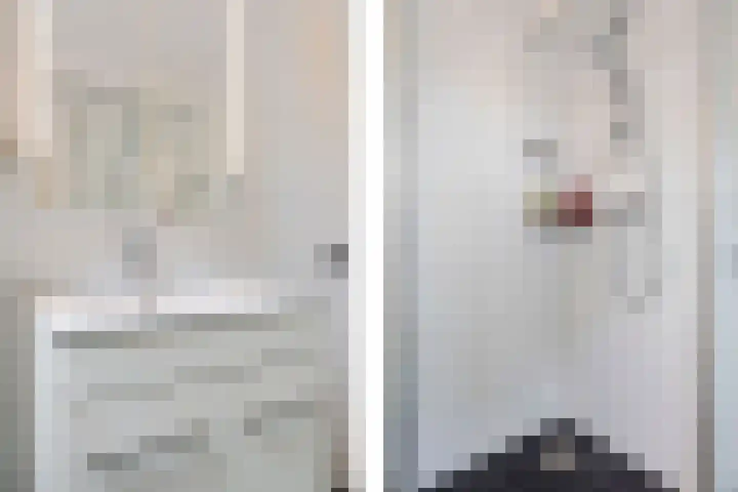Weerselosestraat 154 Borne thumbnail 26
