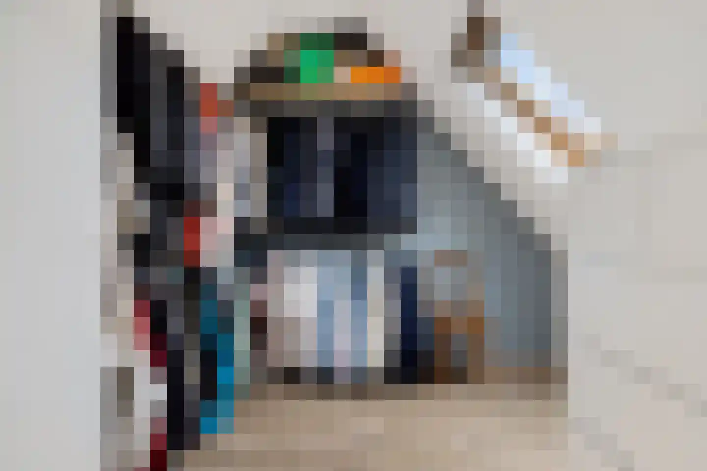Weerselosestraat 154 Borne thumbnail 32