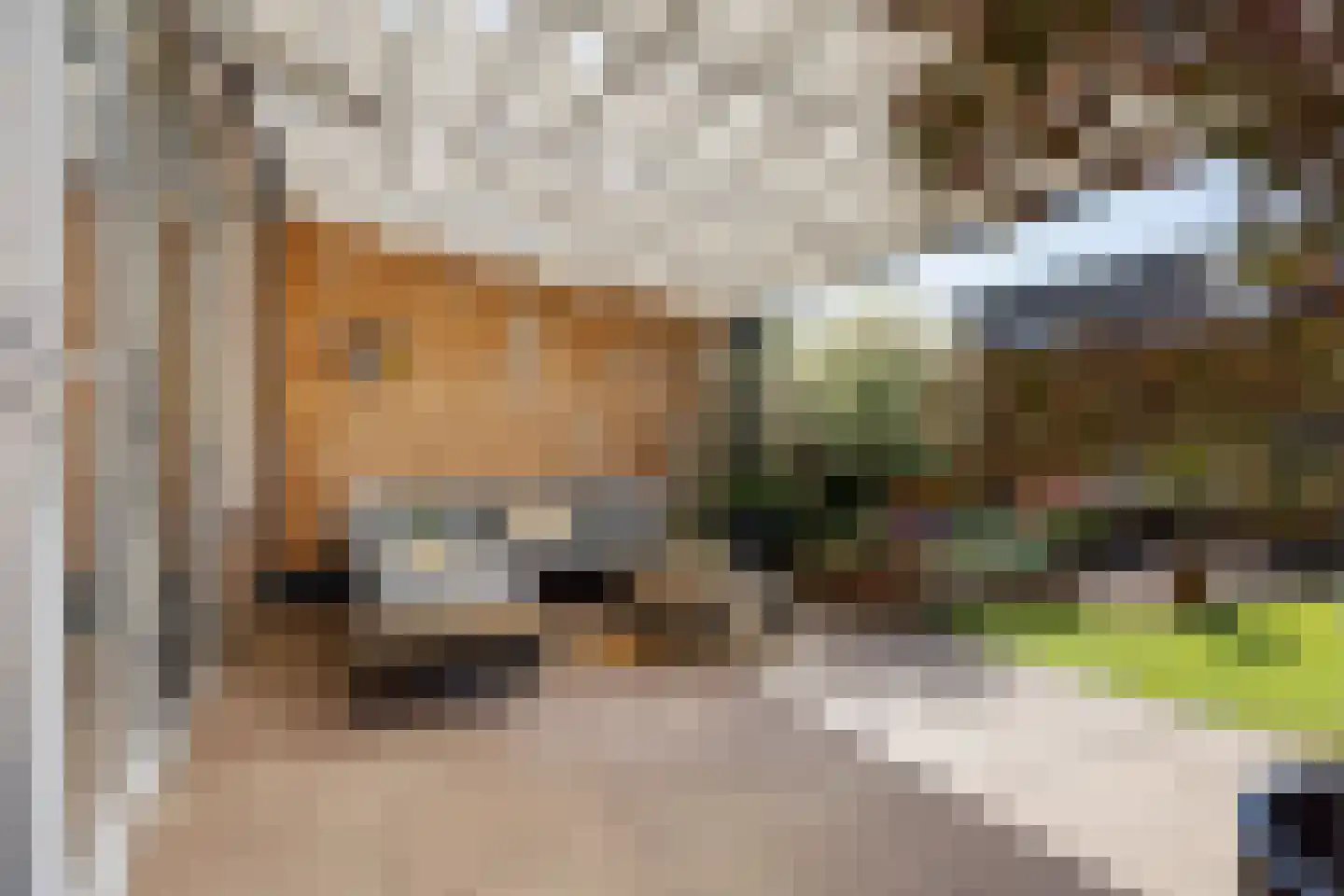 Weerselosestraat 154 Borne thumbnail 34