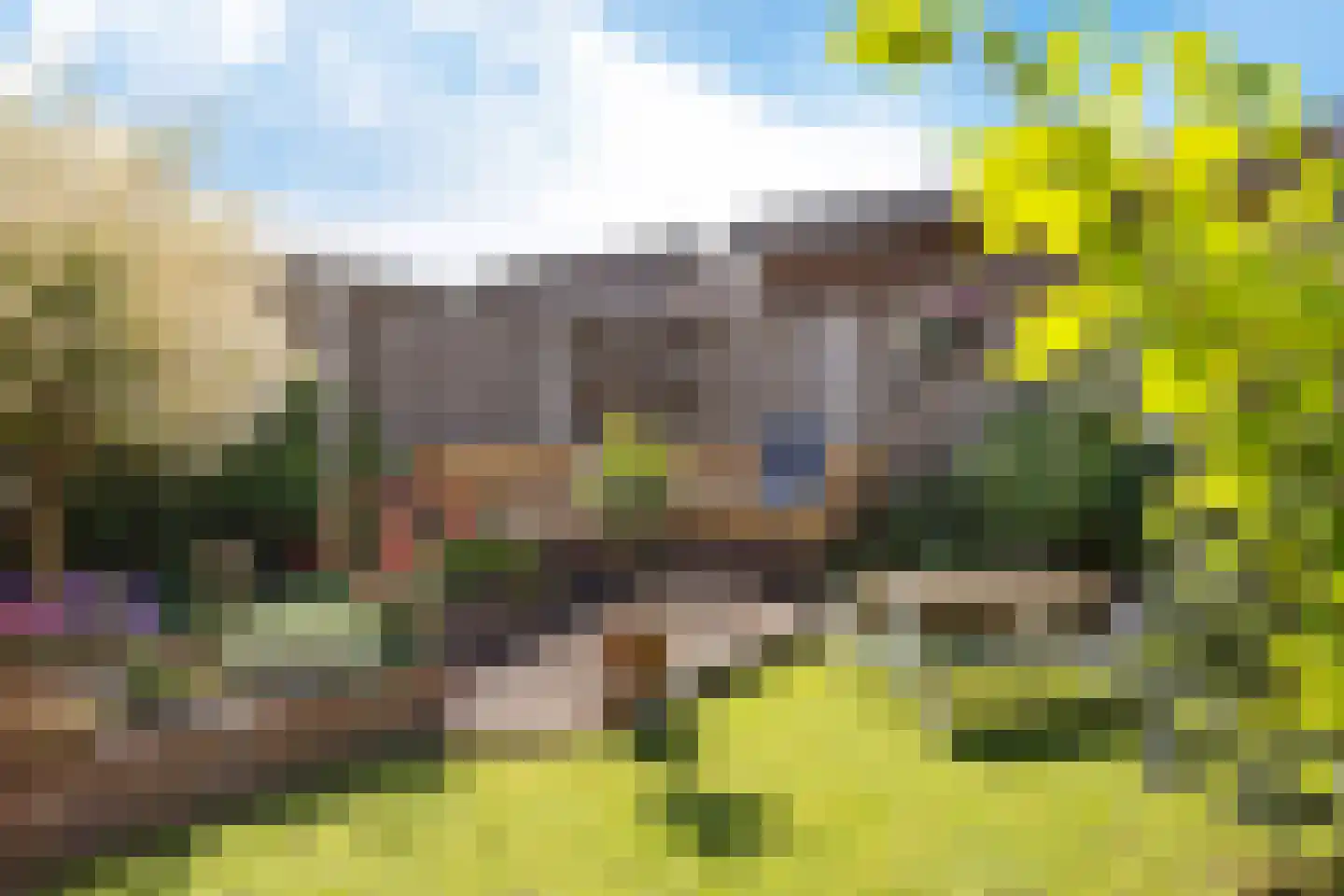 Weerselosestraat 154 Borne thumbnail 36