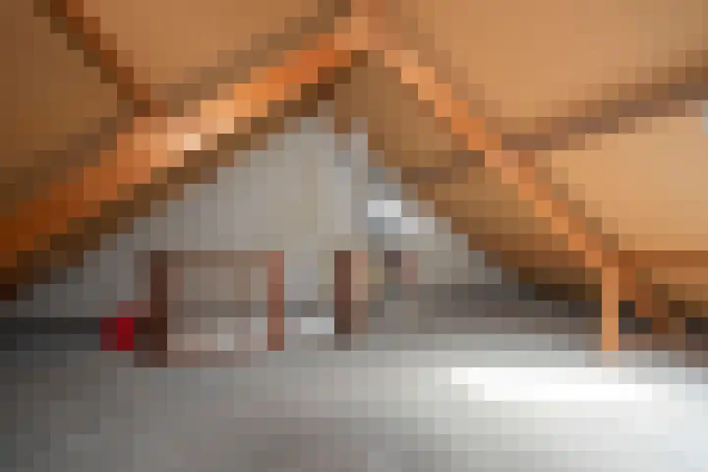 Weerselosestraat 16 Borne thumbnail 17