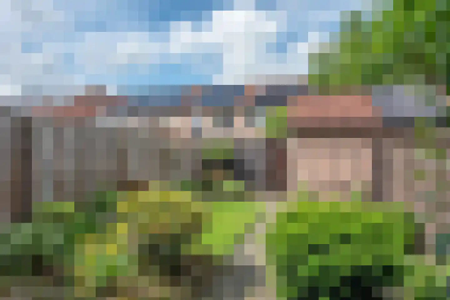 Weerselosestraat 16 Borne thumbnail 18
