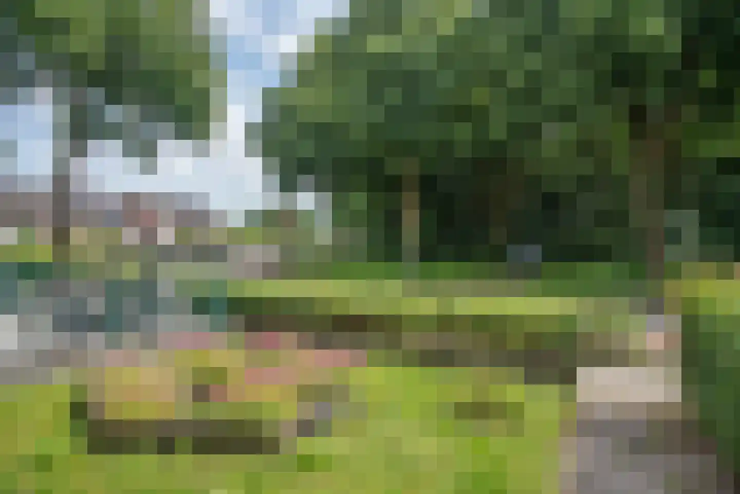 Weerselosestraat 16 Borne thumbnail 20