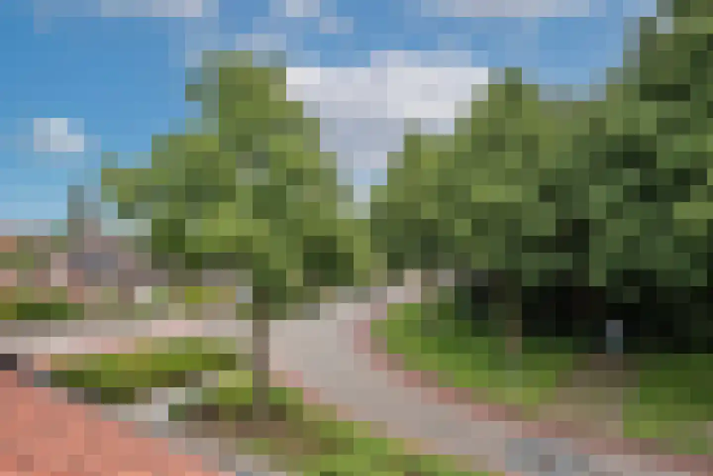 Weerselosestraat 16 Borne thumbnail 21