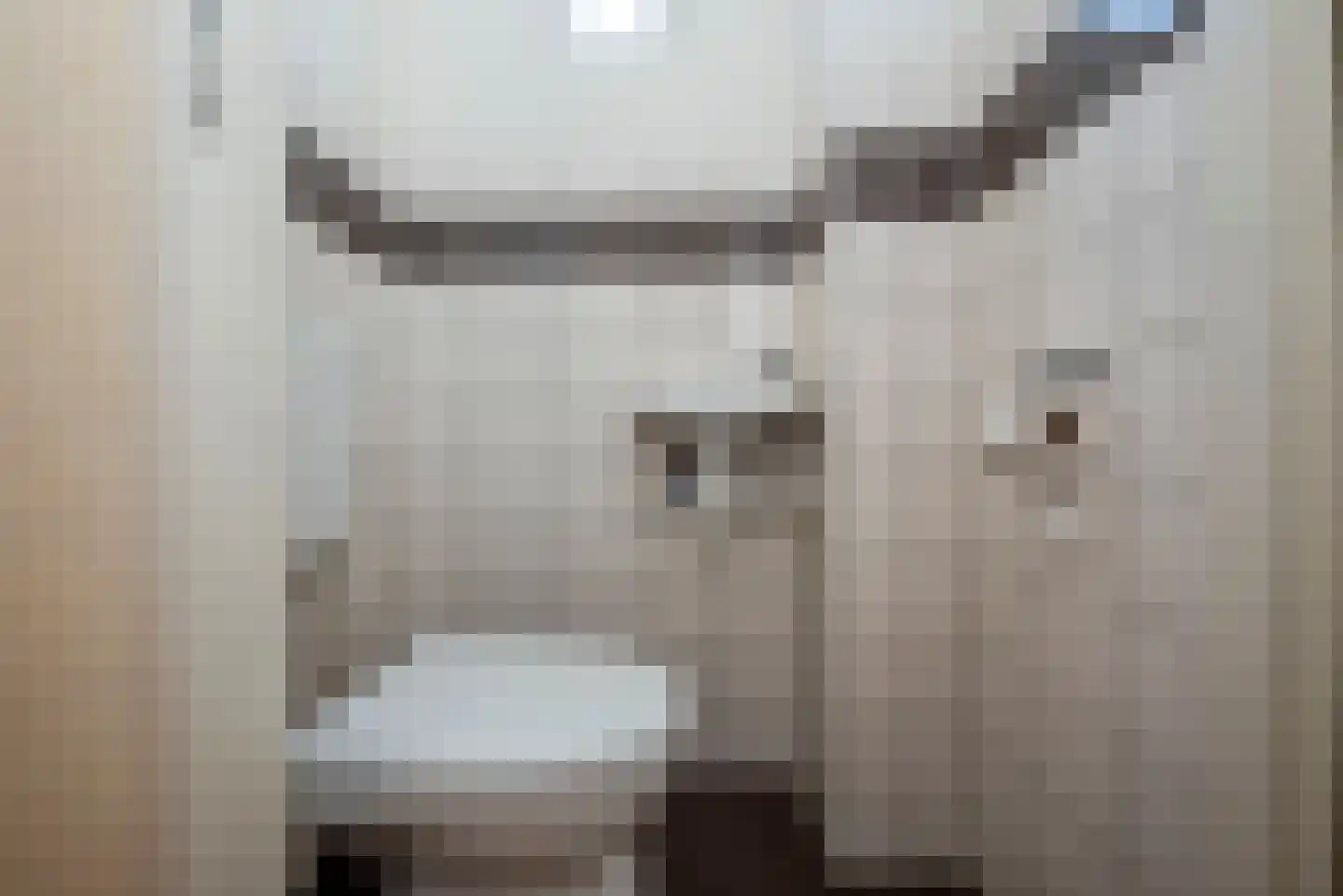 Weerselosestraat 16 Borne thumbnail 7