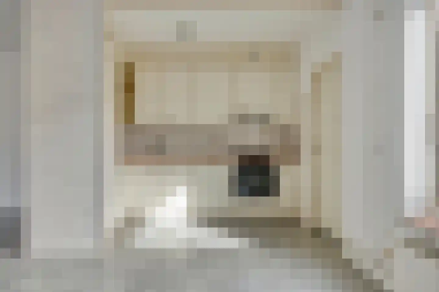 Weerselosestraat 214 Borne thumbnail 12