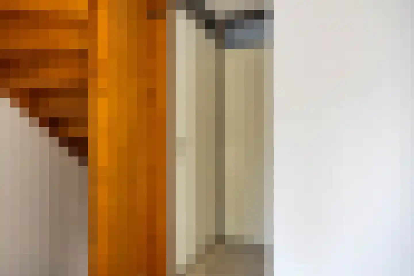 Weerselosestraat 214 Borne thumbnail 15