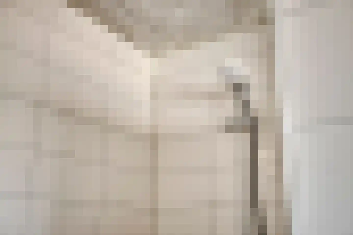 Weerselosestraat 214 Borne thumbnail 19