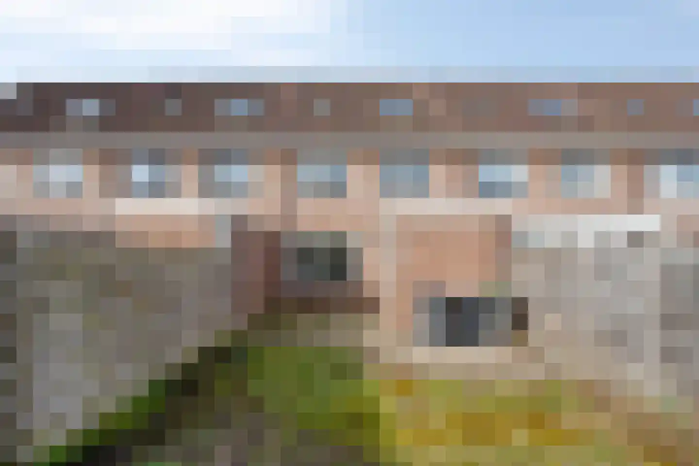 Weerselosestraat 214 Borne thumbnail 26