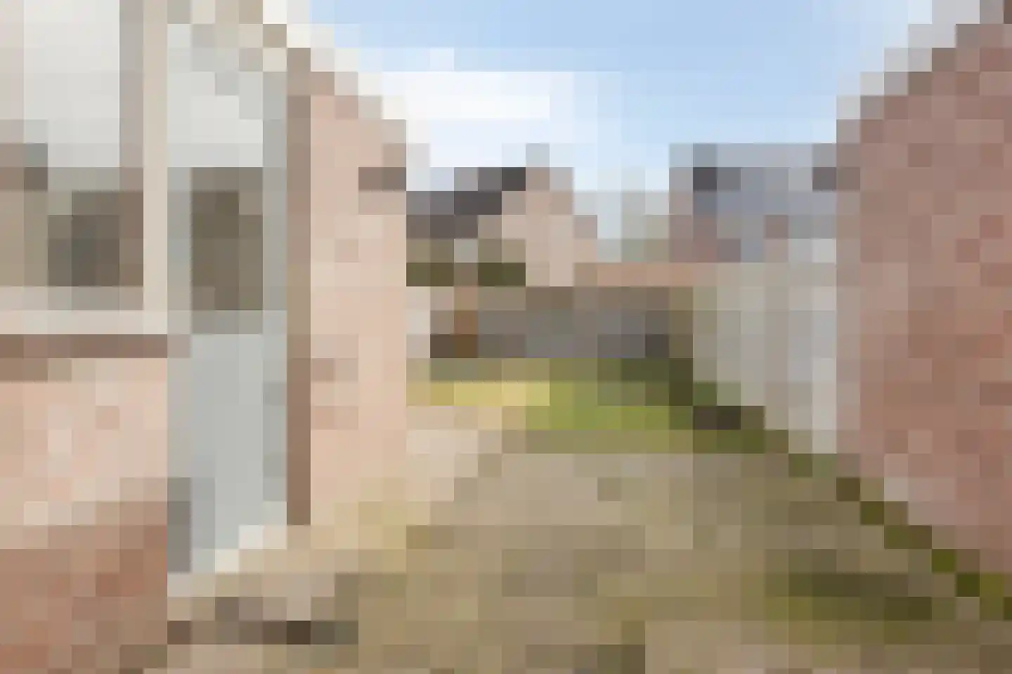 Weerselosestraat 214 Borne thumbnail 27