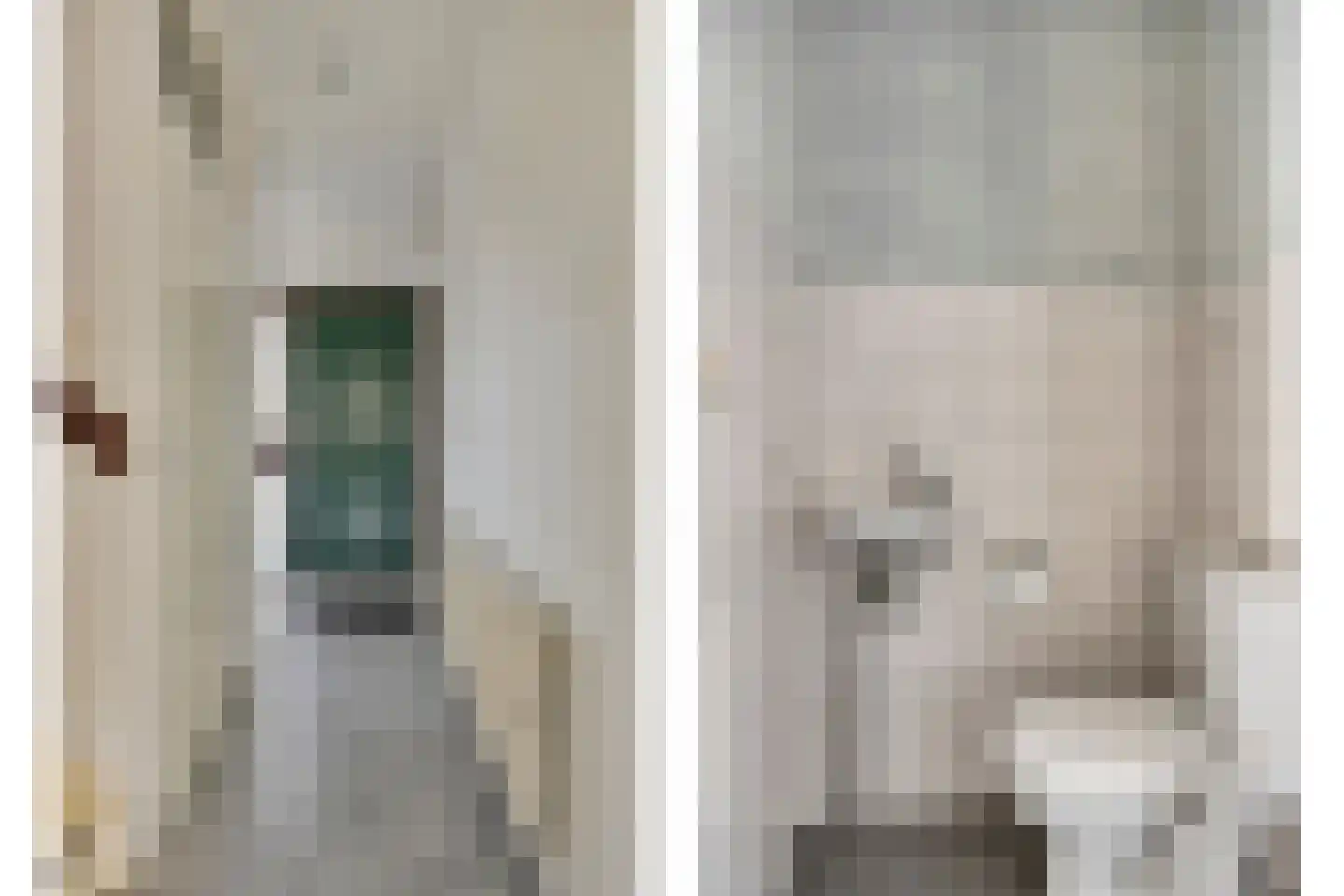 Weerselosestraat 214 Borne thumbnail 7